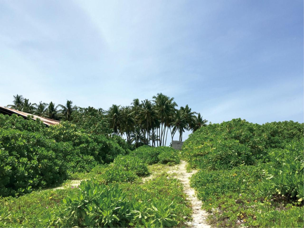 Ranauraa Inn Dhiffushi Exterior foto